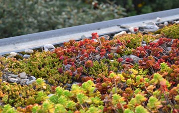 the cost of Winmarleigh Moss green roof installation
