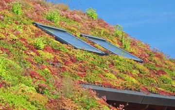 Winmarleigh Moss living roof systems