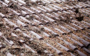 Winmarleigh Moss roof cleaning companies